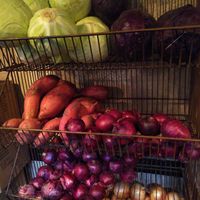 A tray of their veggies 😍 at Monkey Mood in Bordeaux