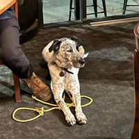 Mac  at Moon Under Water in Christchurch