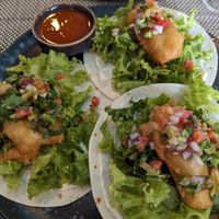 Phish tacos at Vegan Junkie in Phuket