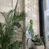   at For Four Bread 포포브레드 in Seoul