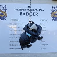  at The Purple Badger in Swansea