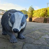  at The Purple Badger in Swansea