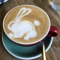   at HBW Coffee in Stirling