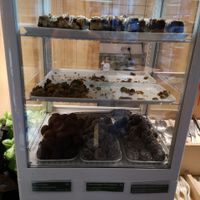 desserts at LETT in Oslo