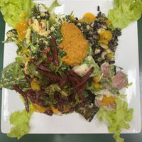 Delectable salads at Snoogies Health Bar in Cairns