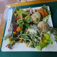  at Snoogies Health Bar in Cairns