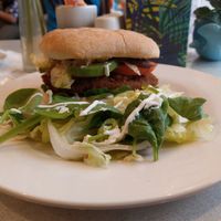 Chicken burger for ca 5-6 pounds at VeganE & Saint Vegan in South West London