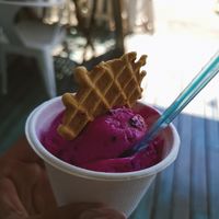Pitaya Gelato at Rebelissimo in Jaco