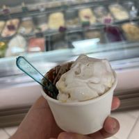   at Rebelissimo in Jaco