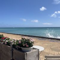   at Barefoot Beach Cafe in Honolulu
