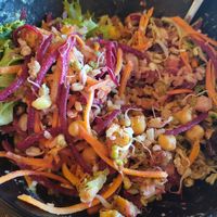 Aristotle Bowl at Copper Branch - Strandherd in Nepean