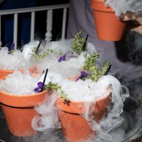 Drinks at The Botanist in Cheltenham