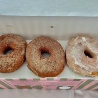 vegan cinnamon sugar donuts // vegan sugar donut at Stan's Donuts & Coffee in Schaumburg