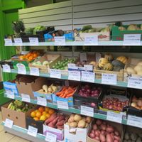fresh produce outside shop at Easter Greens in Edinburgh