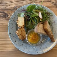 Cashew cheese starter (vegan)  at Spojka Karlin in Prague