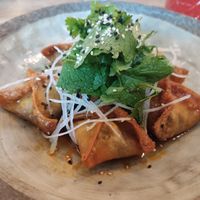 Fried leek dumplings (vegan) at Spojka Karlin in Prague