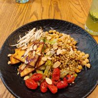 Main lunch dish with tofu and chickpeas at Spojka Karlin in Prague