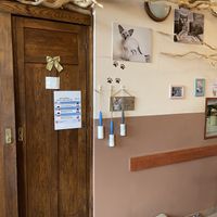 Lint rollers on the way out to get the hair off is a nice touch   at Cat Café Kociarnia in Krakow