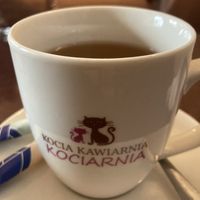 Tea  at Cat Café Kociarnia in Krakow