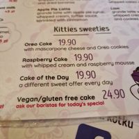  at Cat Café Kociarnia in Krakow