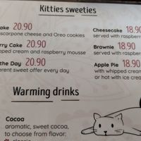 no vegan cake on menu anymore - got a short "no" when I asked about it to double check at Cat Café Kociarnia in Krakow