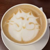 Fat cat coffee art  at Cat Café Kociarnia in Krakow