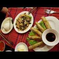 Nems et tofu frit  at Sapa Classic Vegan in Sapa