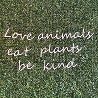   at Coco Bowl in Salento