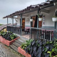  at Coco Bowl in Salento