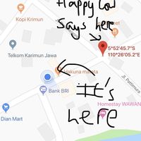 The correct location  at Hakuna Matata in 