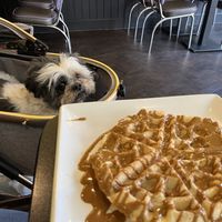 Waffle with biscoff sauce  at Creams Cafe in Blackpool