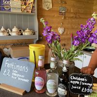 View of the cafe   at Sanctuary Cafe in Calne