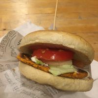 Vegan burger at Circo dei Sapori - Food Truck in Padua