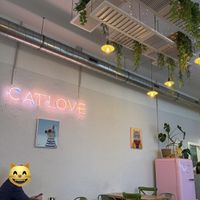 Lugar  at Catlove Coffee in Gijon