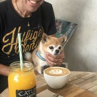 Orange juice  at Catlove Coffee in Gijon