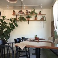 Cozy setting with lots of plants at Simple Cafe in Asheville