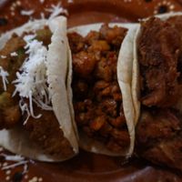   at Aguacate Limon in Tulum