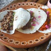 Soy based 'steak' and carrot based 'pibil' at Aguacate Limon in Tulum