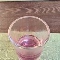 Tasting  a local herbal liquor 🌿 at Dalmatino in Hvar