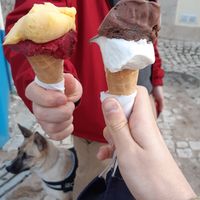 Vegan ice creams with vegan cones at Nutwood in Ericeira