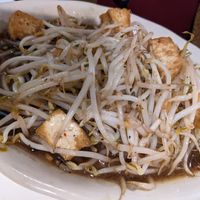 Bean sprouts lover at Thai House in Logan