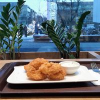 Crunchy onion rings. at Veganland in Prague