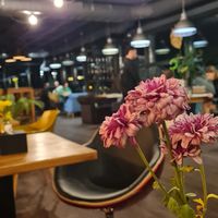  at Black Rabbit in Chisinau