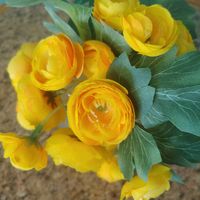  at Anna's Vegan Plate in Palm Bay