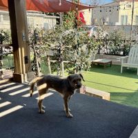 Friends at Muddy Paw in Los Angeles