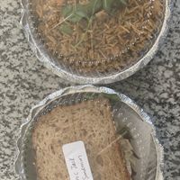   at Callie's Kitchen in Tomball