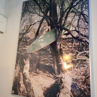  at Hooked Poke 훅트포케 in Seoul