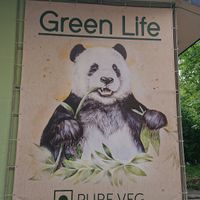 Find this cute panda near the entrance at Green Life in Ternopil