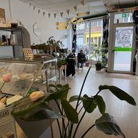  at Van Die Vegans in Hilversum