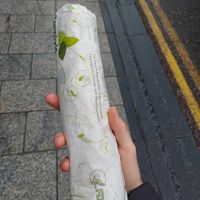 A wrap, fairly sizeable at The Crazy Vegetable in Dublin